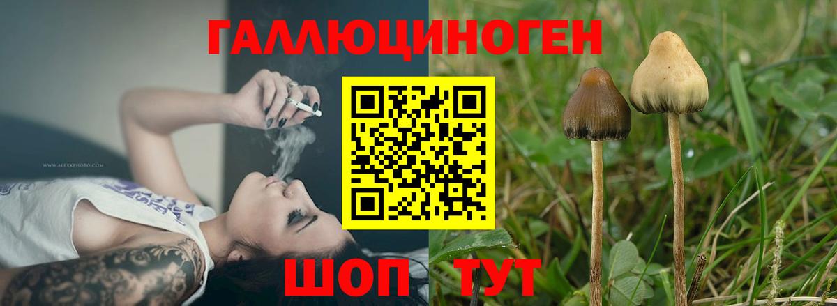 Псилоцибиновые грибы Psilocybe  Псилоцибиновые грибы MAGIC MUSHROOMS  Вход с VPN  Партизанск 